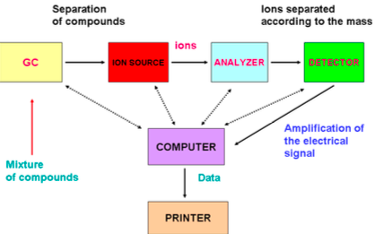 <ul><li><p>Mobile phase is gas</p></li><li><p>Complex samples are separated in the column</p><ul><li><p>Example: A mixture of Caffeine, Cocaine, and Lidocaine will separate and three peaks will be observed</p></li><li><p>Each component enters the mass analyzer where it is fragmented into a unique and repeatable pattern</p></li></ul></li></ul><p></p>