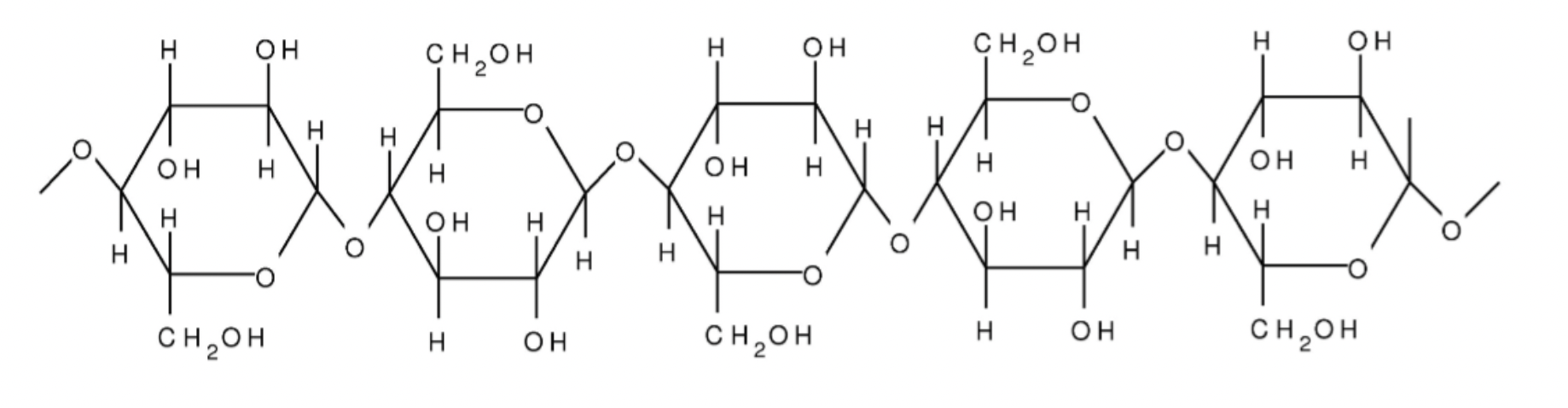<ul><li><p>monomer: beta glucose</p></li><li><p>glucose monomers in un-branched long straight chains</p></li><li><p>parallel chains held together in fibres by hydrogen bonds</p></li><li><p>orientation of glucose molecules alternates</p></li><li><p>bundles of cross linked chains are called microfibrils</p></li><li><p>indigestible, gives the muscles of the gut something to push against and therefore prevents constipation</p></li><li><p>found in plant cell walls, enormous tensile strength so provides structural support</p></li></ul><p></p>