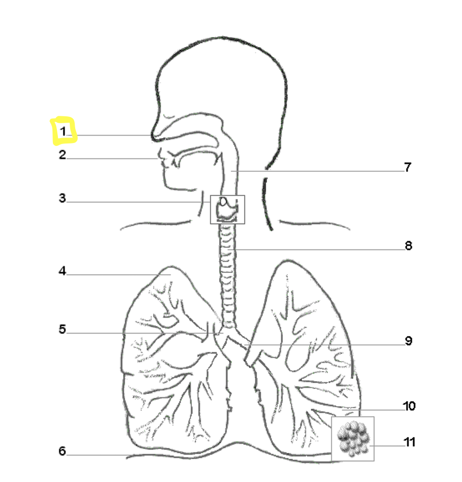 <p>fill out each label! Label 1:</p>