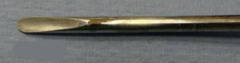 <p>What is this, used to tear the periodontal ligament?</p>