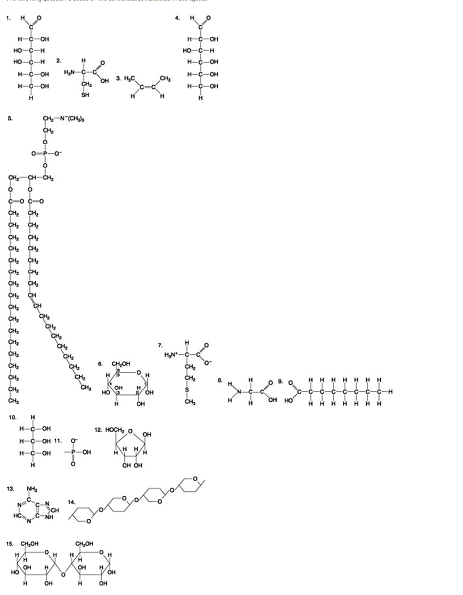 <p><span>The following question is based on the 15 molecules illustrated in the figures.</span><br>Which of the following pairs of molecules could be joined together by a peptide bond in a dehydration reaction?</p><p> </p><p>2 and 3</p><p> </p><p>12 and 13</p><p> </p><p>8 and 9</p><p> </p><p>7 and 8</p>