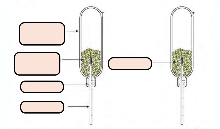 <p>Label the apparatuses </p>