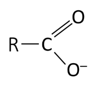 <p>COOH or COO-</p><p>negatively charged, at pH of 7 at the cell acts as acids</p>