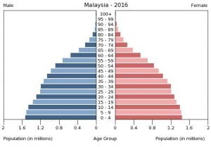 <p>What type of shape is this? </p><p>What type of Dependency is this?</p><p>Is this a Stage 2, 3, 4, or 5? </p><p>What type of TFR, CBR, CDR, and life expectancy does this country have? Why?</p><p>LDC / MDC?</p><p>Examples?</p>