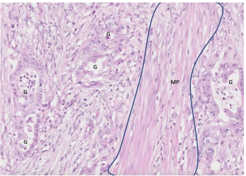 <p>What does this show?</p>