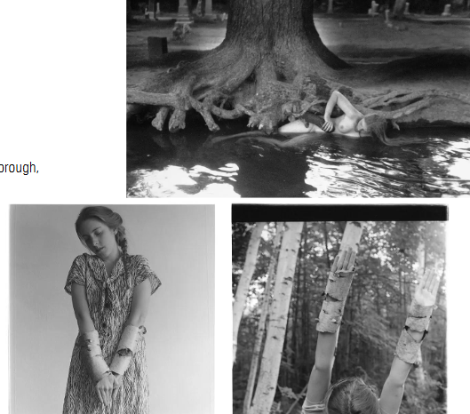 <ul><li><p>using her own body in the landscape</p></li></ul><p></p>