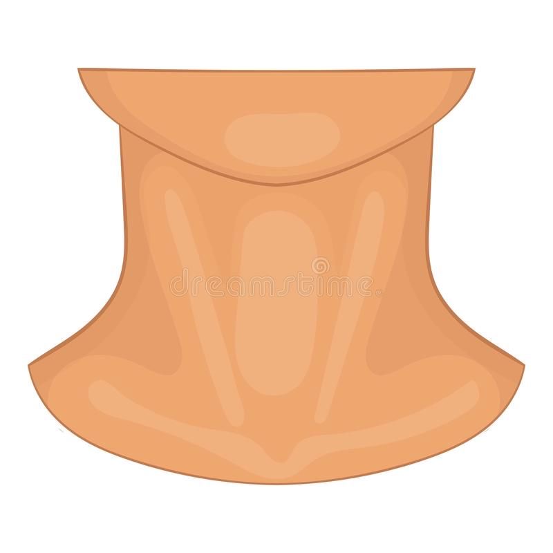 <p>the neck </p>