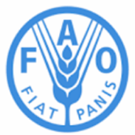 <p>FAO</p>