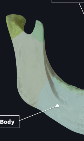 <p>What is this pointing to? What bone is it on?</p>