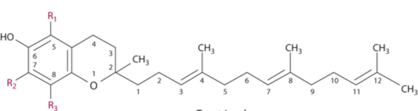 <p>members of the vitamin E family having the chemical structure of a complex ring structure with a long unsaturated side chain</p>