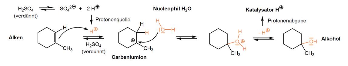 <ul><li><p><span>Addition von Wasser an C-C Doppelbindung läuft nicht spontan da Alkene nicht mit Wasser mischbar und Wasser ist kein Elektrophil sondern Nucleophil</span></p></li><li><p><span>Findet Säure-katalysiert statt -> analog zur Addition von Halogenwasserstoffsäuren (Protonierung der Doppelbindung, Carbeniumion, Angriff Wasser, Deprotonierung)</span></p></li><li><p><span>Cis-Addition</span></p></li></ul><p></p>