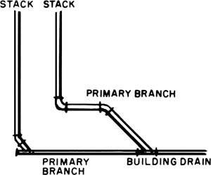 <p>Primary Branch</p>