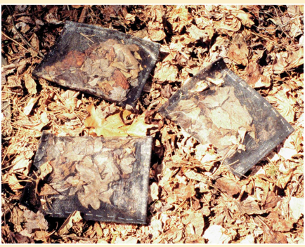 <p>Put things in a bag and after a time, measure to see which one weighs less. Less weight = more decomposition.</p><p>Leaves with a higher carbon: nitrogen ratio lose less mass</p><p>Increased N availability increases decomposition rates</p><p>Higher temperature may also play a role </p>