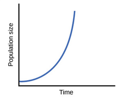 <p>Occurs when the individuals in a population reproduce at a constant rate</p>