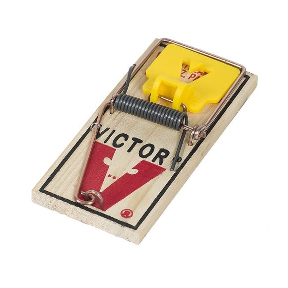 <p>This kill trap is used for small mice</p>