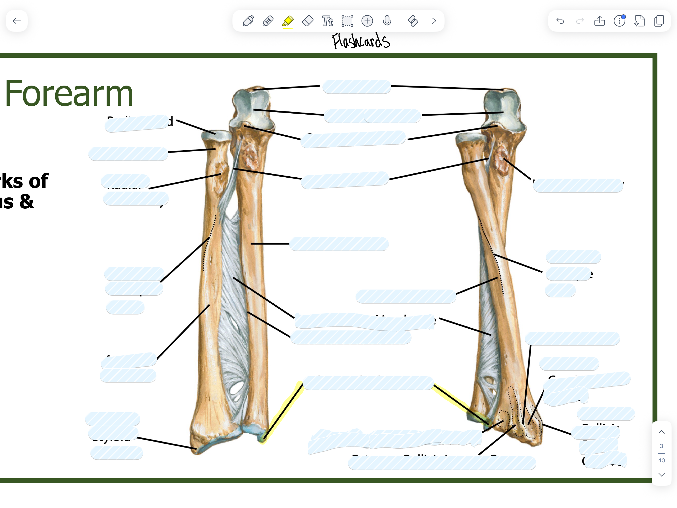 knowt flashcard image