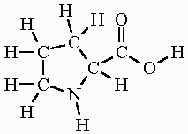 <p>Proline. Codons: CCU, CCC, CCA, and CCG</p>
