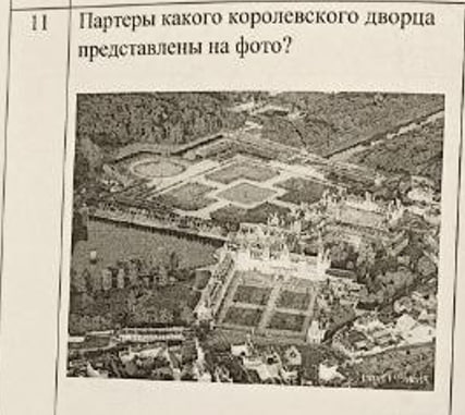 term image