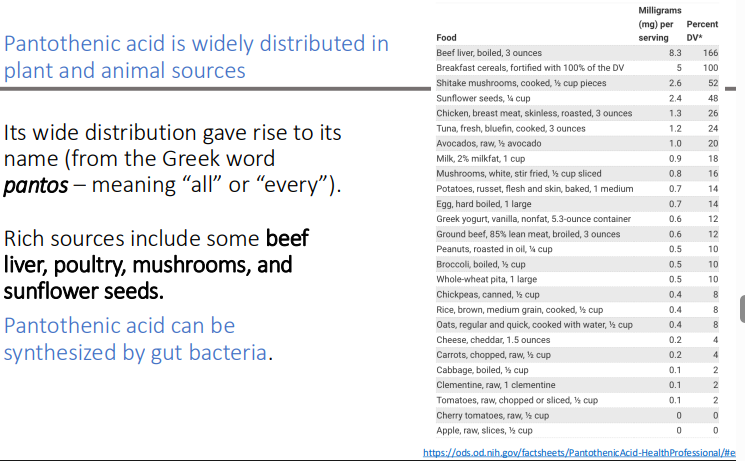 <p>gut bacteria</p>