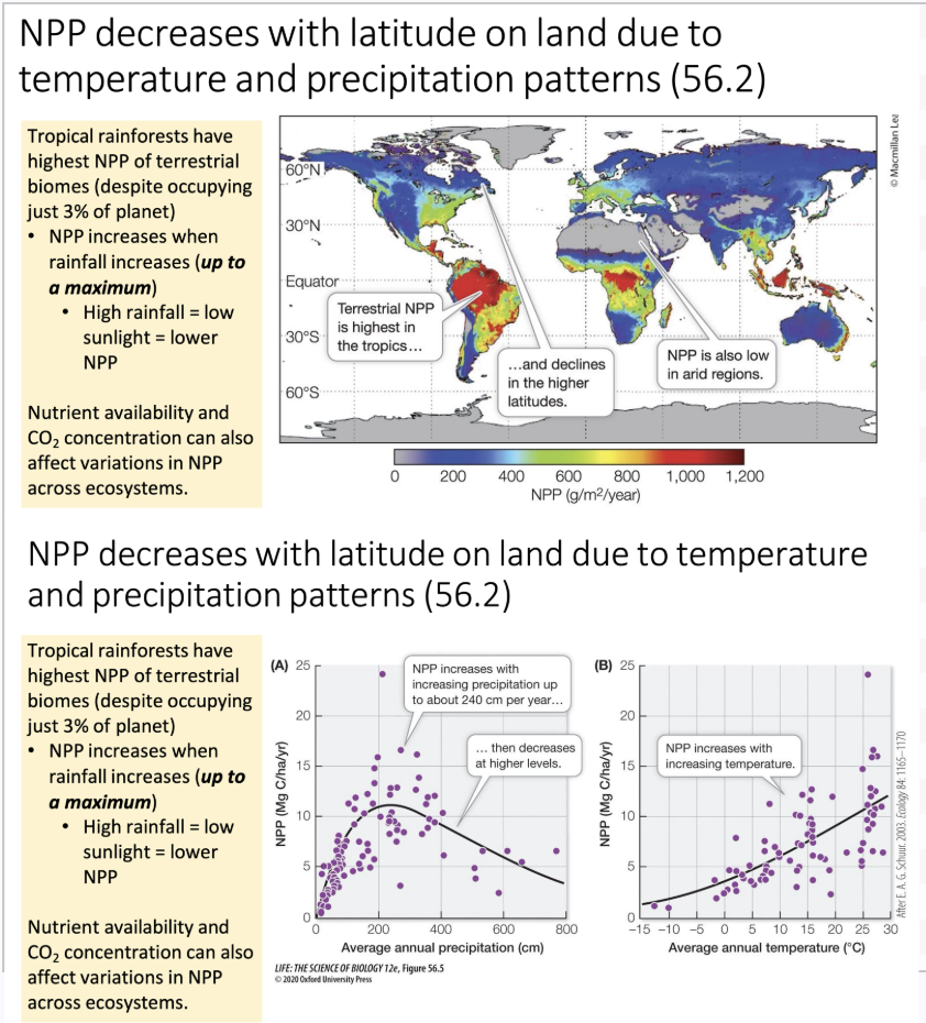 <ul><li><p>NPP decreases with increasing latitude due to declining temperature and precipitation.</p><ul><li><p><span>Tropical rainforests have the highest NPP of terrestrial biomes </span></p></li><li><p><span>NPP increases when rainfall increases (<strong><em>up to a maximum</em></strong>)</span></p><ul><li><p><span>High rainfall = low sunlight = lower NPP. Cloud coverage and soil nutrient leaching can be present.</span></p></li></ul></li></ul></li><li><p>On the map, cooler tone = lower NPP, higher tone = higher NPP. Very high in the tropics with solar radiation, etc. </p></li><li><p>On the graphs, <span>precipitation starts to decline with nutrient leaching, cloud cover that blocks light penetration to the surface etc.</span></p><ul><li><p><span> Don’t see this with temperature as they both increase and increase.</span></p></li></ul></li></ul><p></p>
