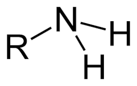 <p>NH2 -covalently bonded</p><p>Highly polar</p><p>hydrophilic</p><p>Basic </p><p>alone it is neutrally charged but in the environment, ph contributes to how it is charged</p><p>can accept H+</p><p>found in amino acids</p>