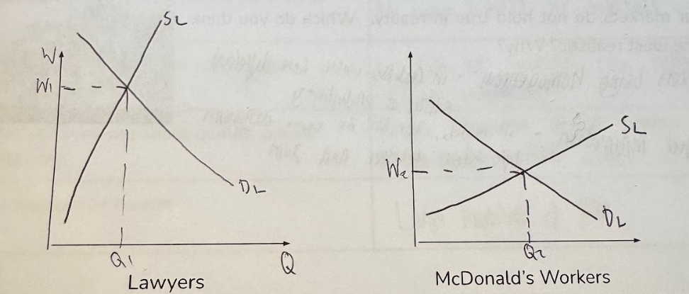 <p>For this example, <strong>High-Skilled = Lawyer</strong>, <strong>Low-Skilled = McDonald’s Worker</strong></p><p> </p><p><span style="color: rgb(210, 90, 255);"><strong>Elasticity of Supply:</strong></span></p><ul><li><p>Supply of <strong><mark data-color="purple" style="background-color: purple; color: inherit;">Lawyers </mark></strong>is more <strong><mark data-color="purple" style="background-color: purple; color: inherit;">inelastic</mark></strong> - <strong><mark data-color="purple" style="background-color: purple; color: inherit;">More barriers to entry</mark></strong>, like <span>rigorous qualification exams, education - need degree, training.</span></p></li><li><p><span>Whereas, supply of <strong><mark data-color="purple" style="background-color: purple; color: inherit;">McDonald’s workers</mark></strong> is <strong><mark data-color="purple" style="background-color: purple; color: inherit;">elastic </mark></strong>- low entry requirements - no education needed, little training</span></p></li></ul><p> </p><p><span style="color: rgb(210, 90, 255);"><strong>Labour Demand:</strong></span></p><ul><li><p>Demand for <strong><mark data-color="purple" style="background-color: purple; color: inherit;">Lawyers </mark></strong>exists at <strong><mark data-color="purple" style="background-color: purple; color: inherit;">much higher wages</mark></strong> - Lawyers produce higher MR → <strong><mark data-color="purple" style="background-color: purple; color: inherit;">higher MRP</mark></strong> → firms more willing and able to hire lawyers </p></li></ul><p> </p><p>→ Equilibrium Wage for Lawyers is higher at W1 compared to W2 for McDonald’s workers</p><p></p>