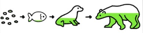 <p>What does this diagram show </p>