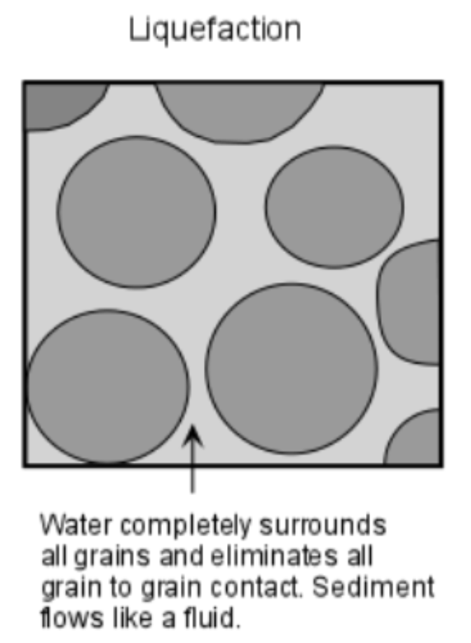 <p>Caused by an earthquake</p><p>When loosely packed soils temporarily lose their strength/stiffness <span style="background-color: transparent;">→ soil loses ability to support weight → behaves like liquid </span></p><ul><li><p>Causes <em>sandblows </em></p></li></ul><p><span style="background-color: transparent;">Ex: 1976 Earthquake in Guatemala was triggered by intense <em>liquefaction</em> → destroyed homes </span></p>