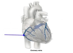 <p>identify the structure</p>