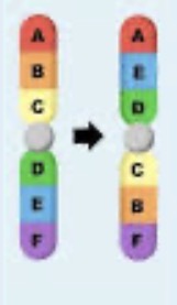 <p>What is this?</p>