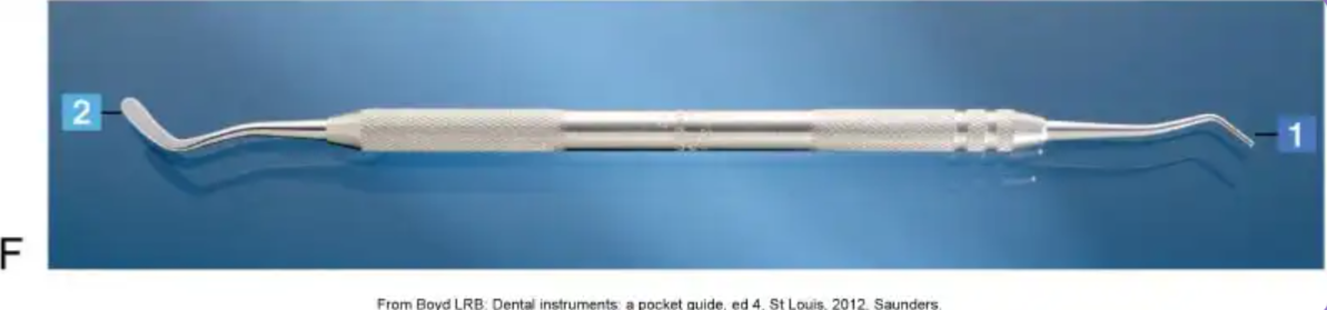 <p>What is this instrument?</p>