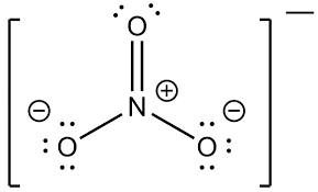 <p>NO₃ (ion nitrate)</p>