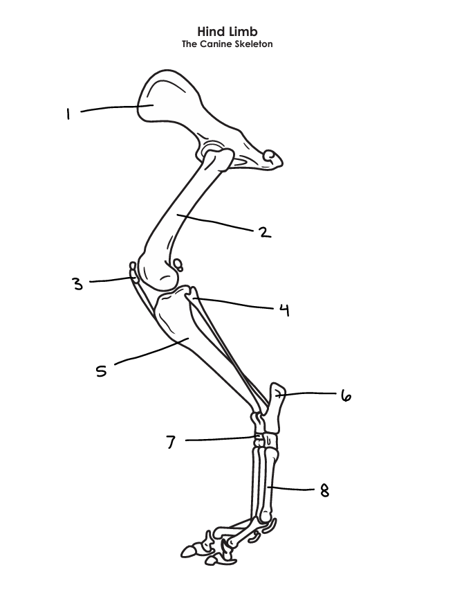 <p>number 7</p>