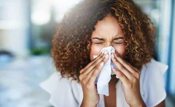 <p>La nariz que moquea</p><p>Tenía secreción nasal</p>