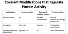 <p>Donor molecule: Myristoyl CoA</p><p>Example: Src</p><p>Function: Signal transuction</p>