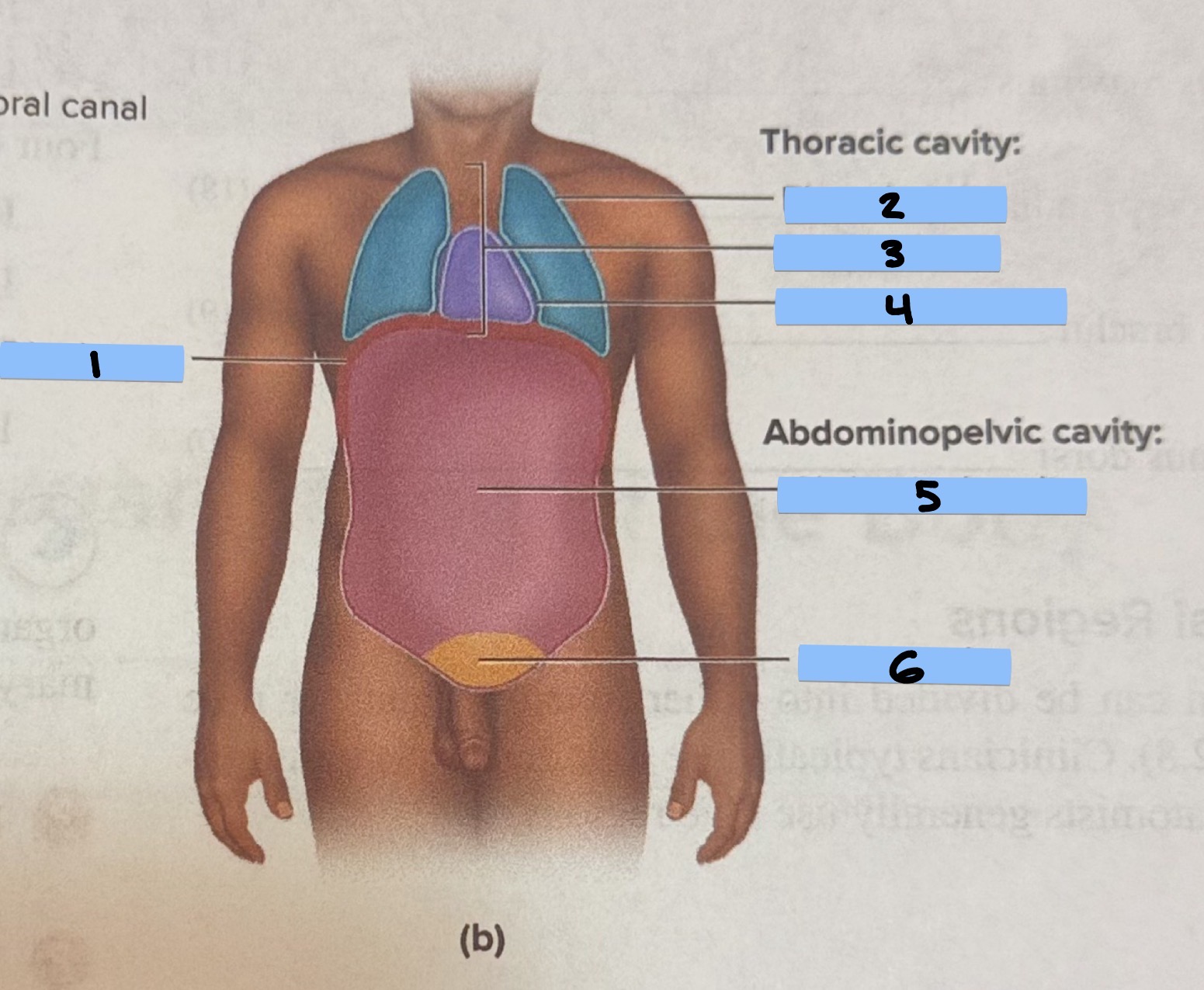 <p>3</p>