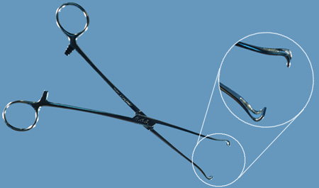 <p><span style="background-color: transparent;">Babcock intestinal Forceps</span></p>