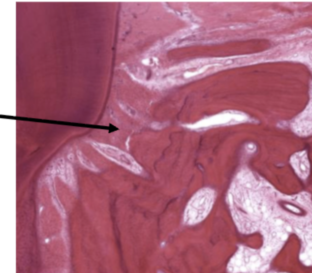 <p>ID the fibers</p>