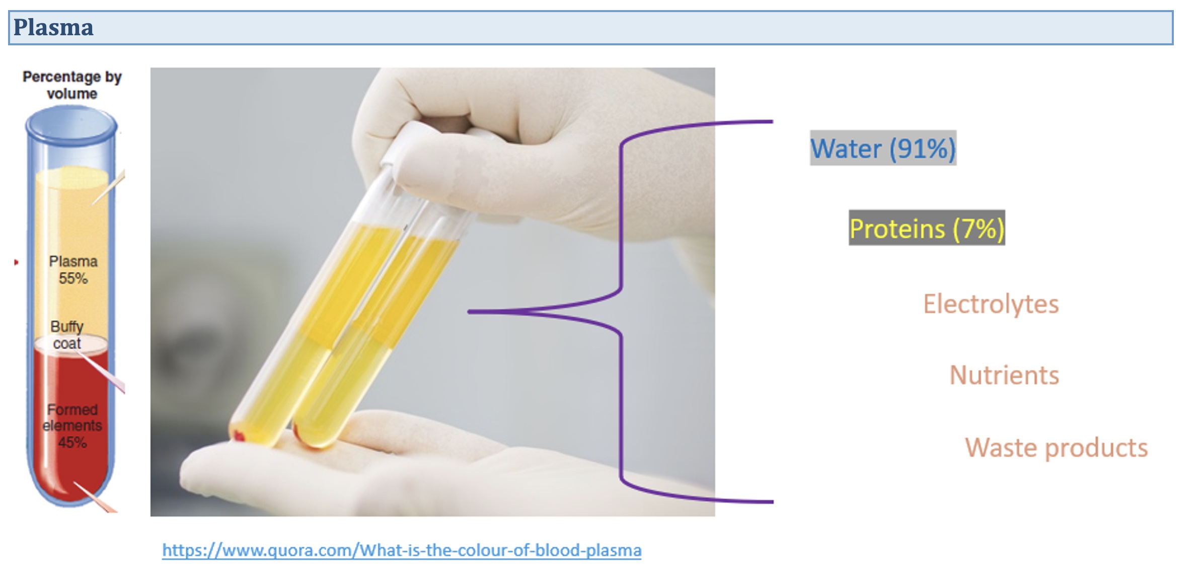 <p><span style="font-family: "Calibri Light", sans-serif;">Plasma is approximately 55% of the volume of whole blood. It is a pale-yellow fluid that consists of about 91% water and 9% other substances, such as proteins, ions, nutrients, gases, waste products, and regulatory substances. Plasma is a <strong>colloid </strong>(e.g. suspension), which is a liquid containing suspended substances that do not settle out of solution. </span><span><strong>Serum </strong></span><span style="font-family: "Calibri Light", sans-serif;">is plasma without the clotting factors.</span></p>
