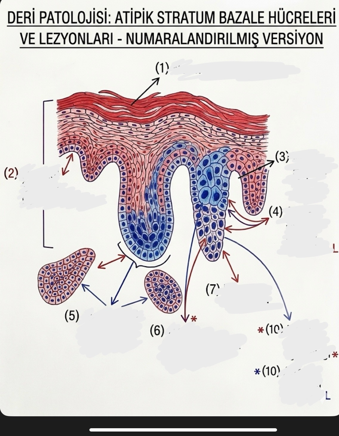 <p>ne</p>