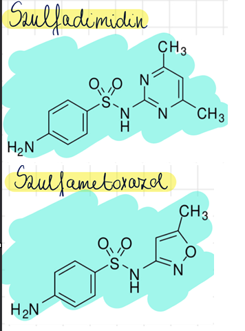 <p>szulfadimidin <br>szulfametoxazol</p>
