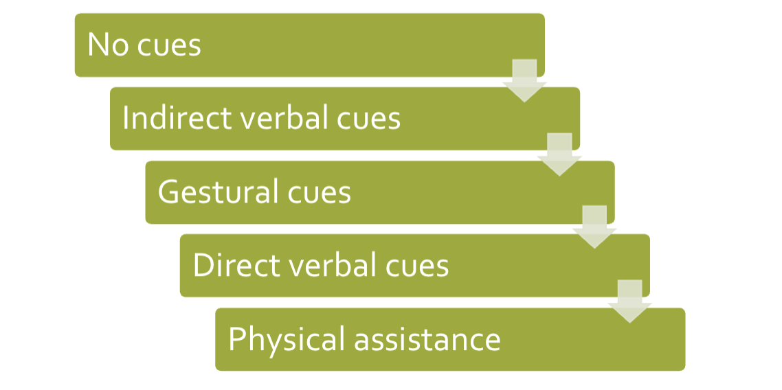 <p>EFPT Cue Chart </p>