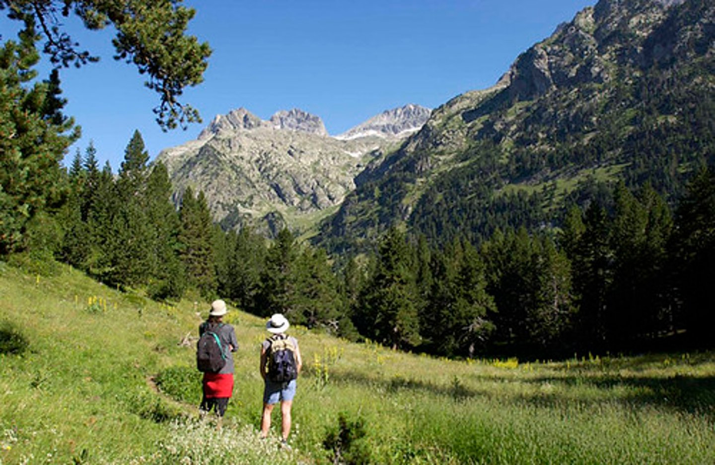 <p>outdoors (field + outside)</p>