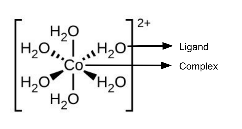 <ul><li><p>Ligand, complex </p></li><li><p>Co-ordination number = 6</p></li><li><p>[Co(H<sub>2</sub>O)<sub>6</sub>]<sup>2+</sup></p></li></ul><p></p>