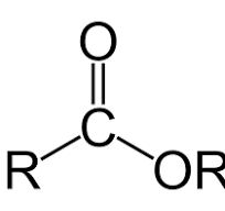 <p>3rd Most Reactive</p>