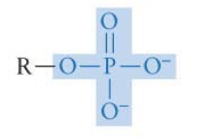 <p>What functional group is this? Is it polar?</p>