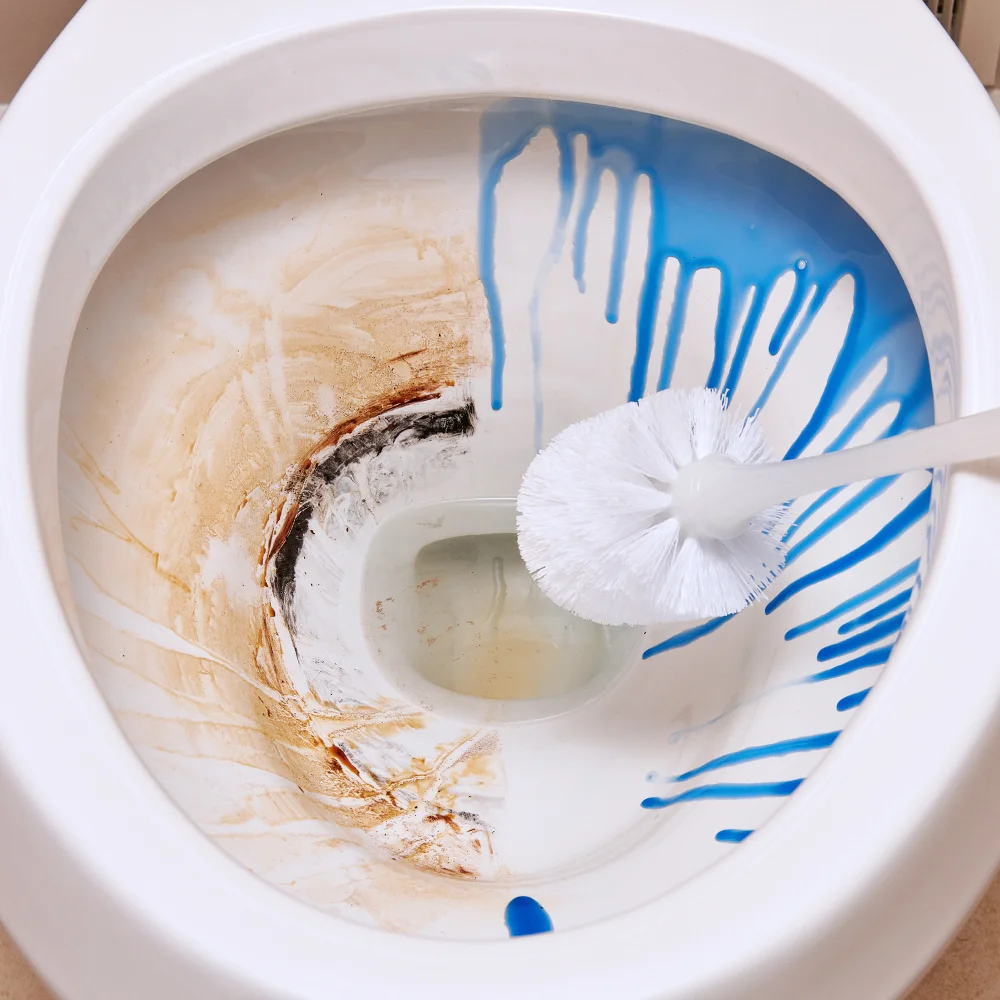 <p>Hóa chất cọ rửa toilet</p>