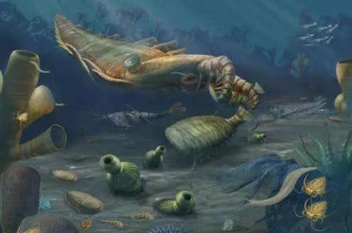 <p>Early life (n)</p>