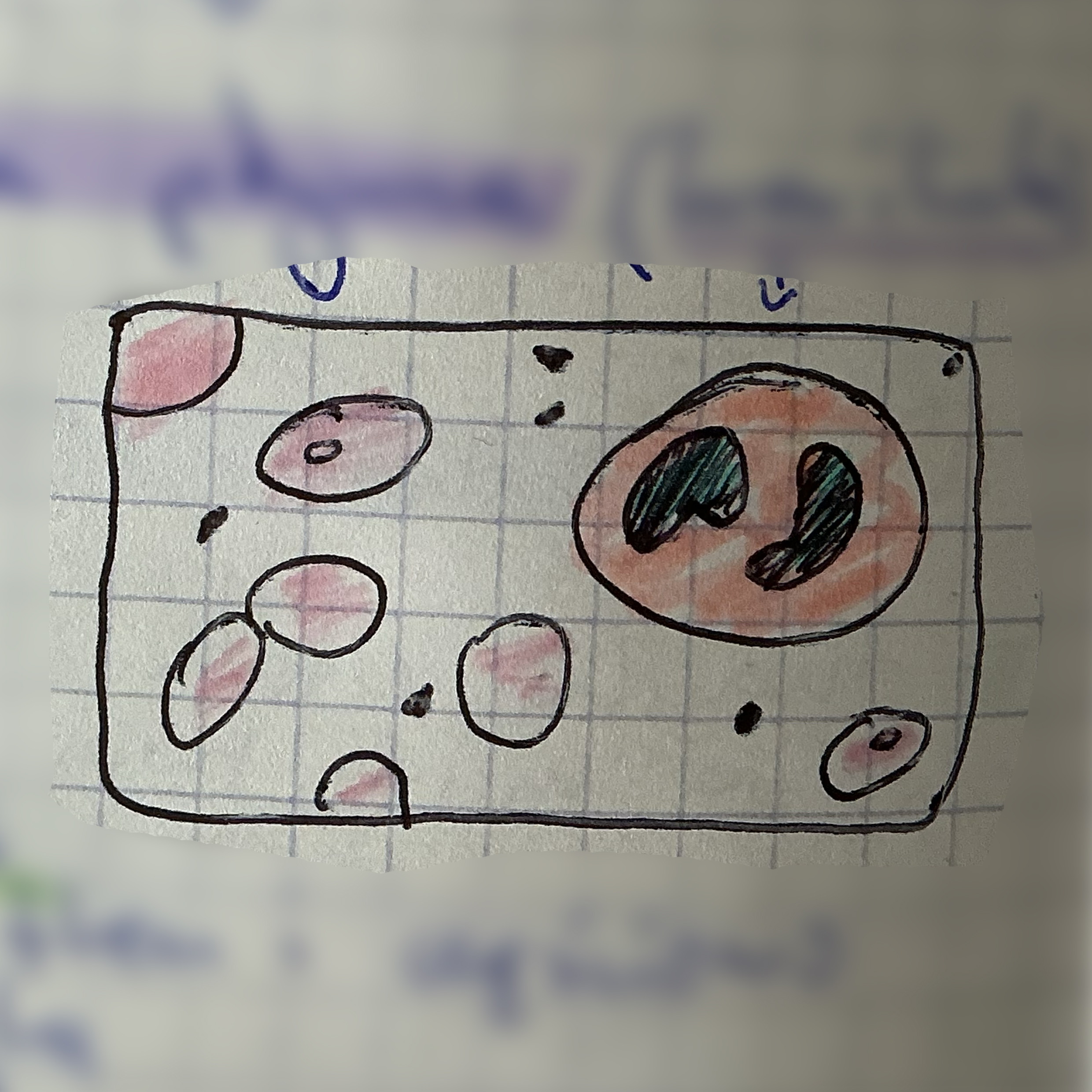 <p>jaka to tkanka?</p>