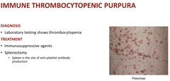 <p>lab testing and immunosuppressive agents (steroids) and splenectomy</p>
